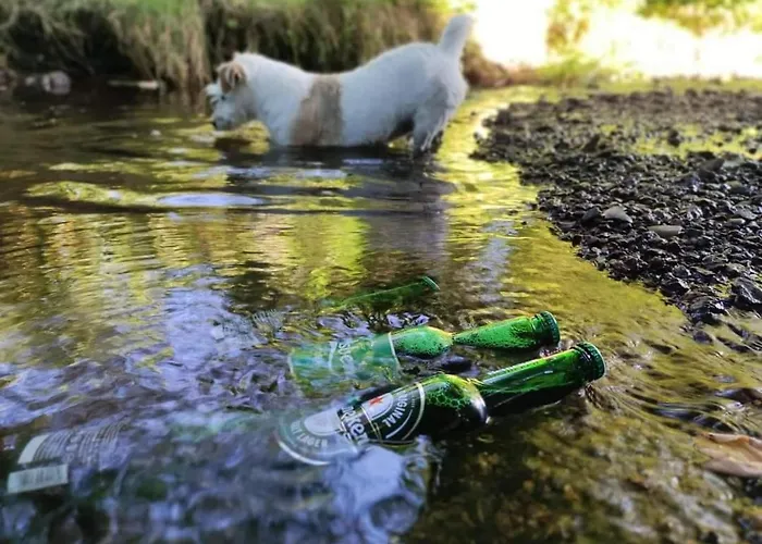 Karkonoska Przystań Motocyklowa U Lisa Chmielen