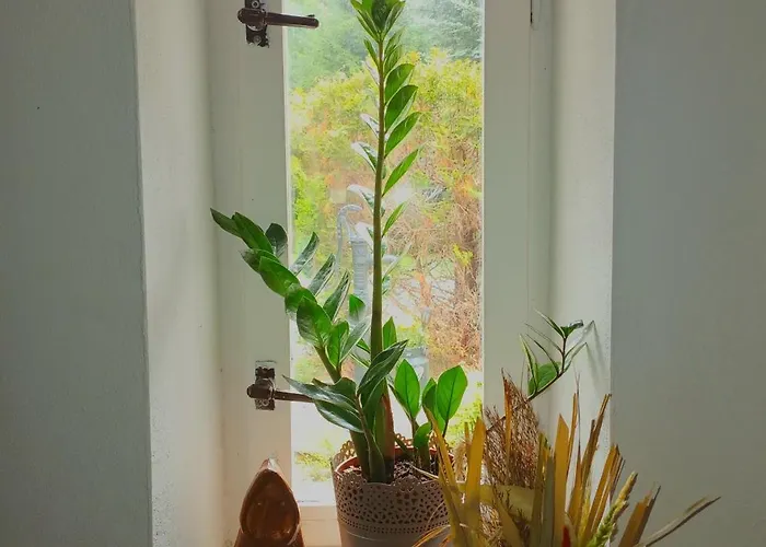 Karkonoska Przystań Motocyklowa U Lisa